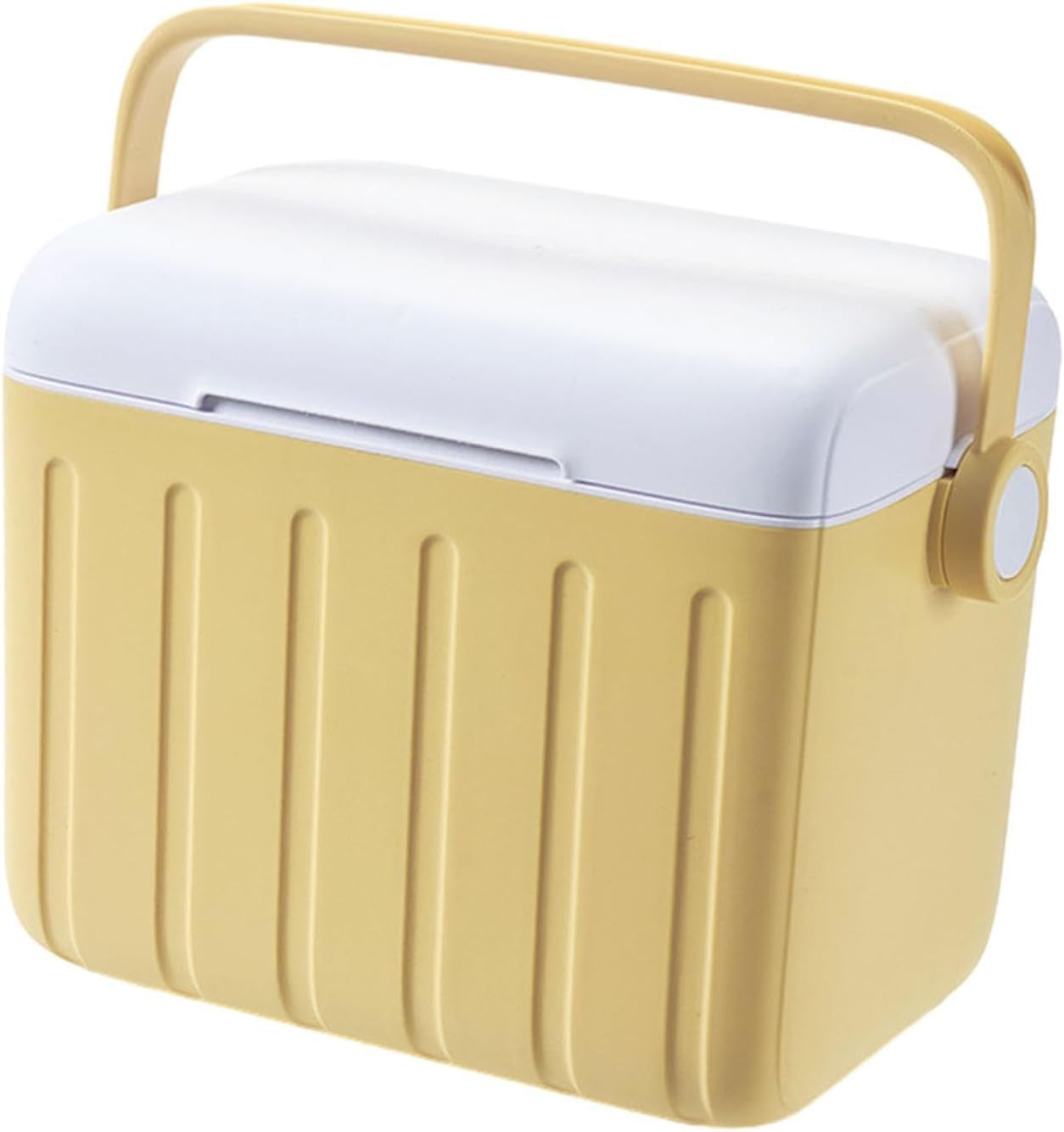 Ice Storage Box Cooler Organizer for Beverages Camping Sports