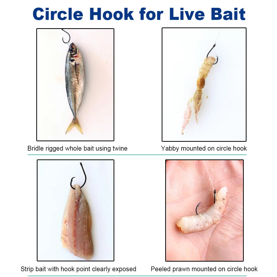 Circle Hooks 25~100Pcs - Wide Gap Non-Offset Circle Hook
