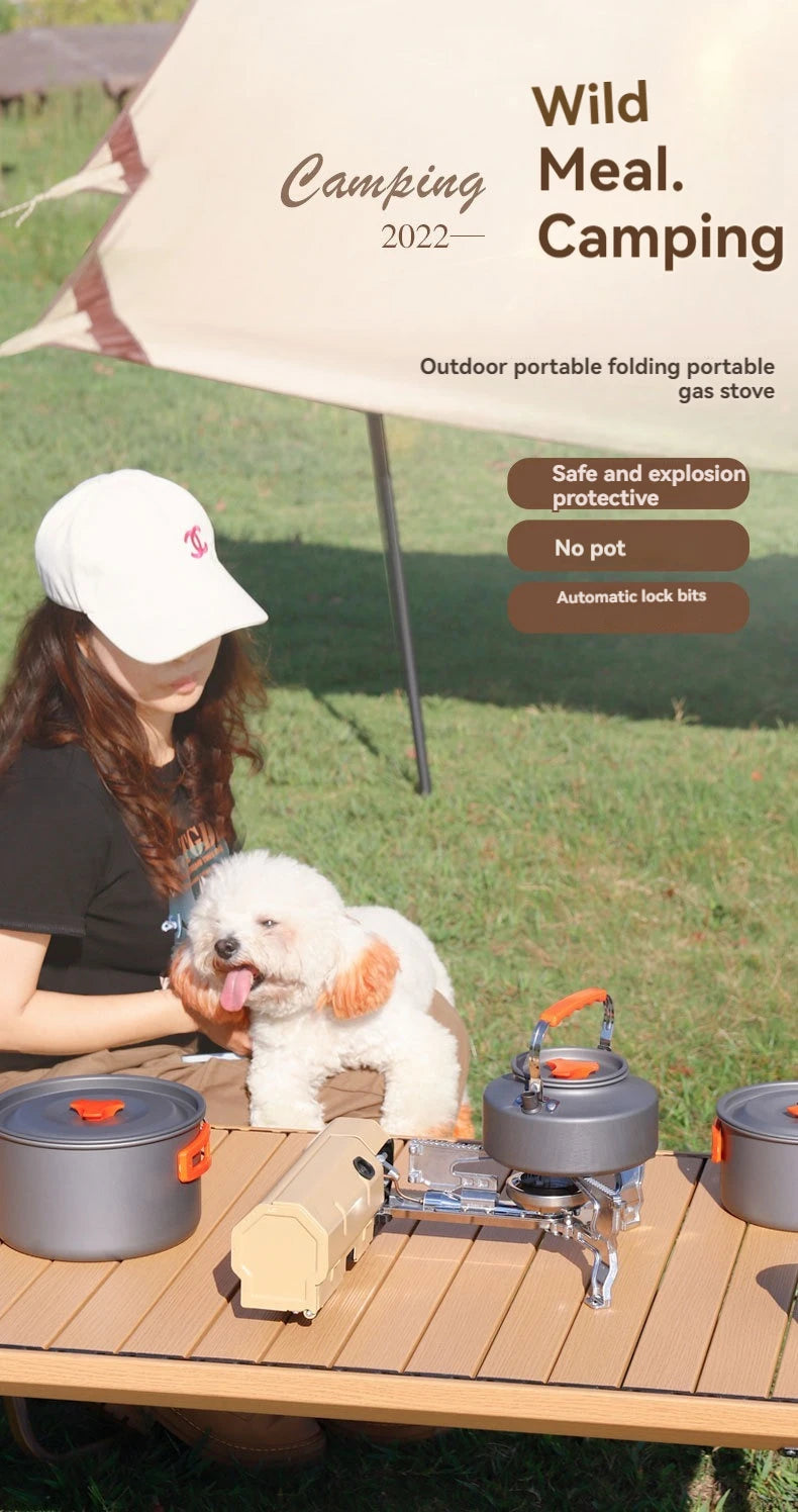 2670W Portable Folding Camping Gas Stove - super portable!!